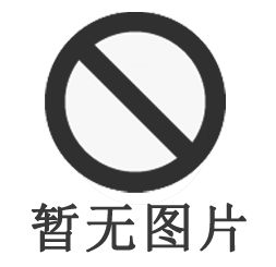 高精度數(shù)顯深度尺瑞士Sylvac 高精度數(shù)顯深度尺